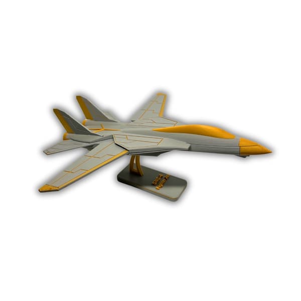 F-14 Tomcat SNC-4 jagerfly-display gjør det selv