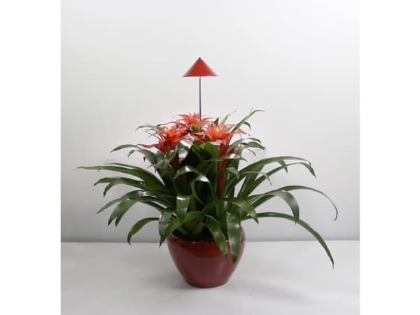 Venso EcoSolutions SUNLiTE, Kromfarget, Rød, Aluminium, IP54, 14 lamper, LED, 7 W
