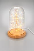 Miniatyrbillede 4 af 8: Goobay Glaskupa med mikro LED mikro-ljusslinga med träplatta, 115 cm USB-kabel, 5 m ljuskedja med 50 mikro-LED i varmvitt (2700 K) och strömbrytare (O