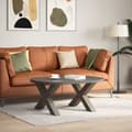 Miniatyrbilde 2 av 10: vidaXL Salongbordben X-formet 2 stk naturstål 70 x (42-43) cm stål