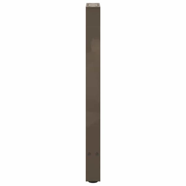 vidaXL Konsollbordben naturstål 2 stk 38 x (72-73) cm stål