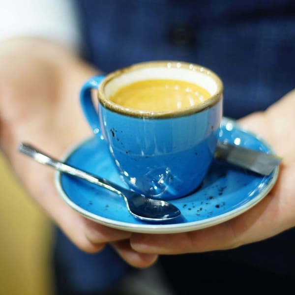 Fat till cappuccinokopp Iris 160 mm (4 st)