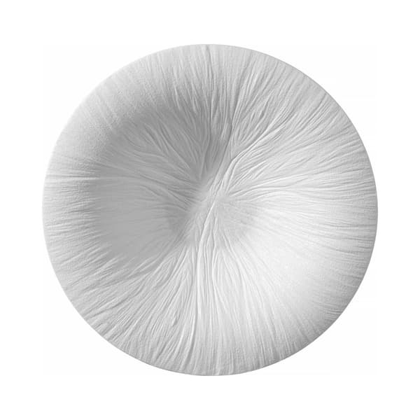 Pastaplade Fiord 290 mm (4 stk)