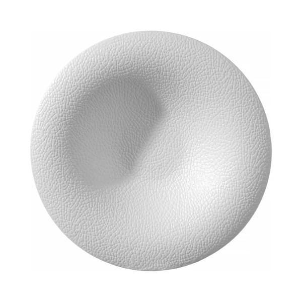 Pastaplade Fizz 290 mm (4 stk)