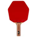 Miniatyrbild 2 av 4: STIGA Bordtennisracket  Allround Classic Cybershape Master - Star Future - Control Level 1