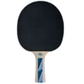 Pikkukuva 2 / 3: DONIC Legends 700 FSC -pöytätennismaila