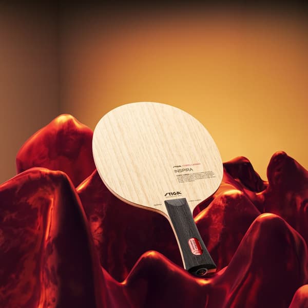 Bordtennisstomme Inspira Hybrid Carbon