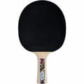Miniatyrbillede 2 af 5: Ping Pong Ketcher Schildkröt Legends 800