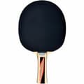 Miniatyrbilde 2 av 5: Pingpong Racket Schildkröt Top Team 600