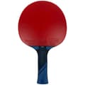 Miniatyrbillede 2 af 9: BUTTERFLY Dimitrij Ovtcharov Platin Bordtennisketcher