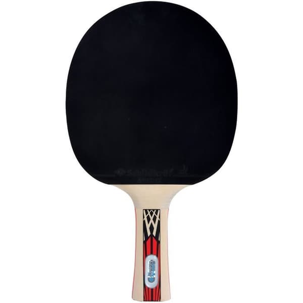 Bordtennisracket - SCHILDKRÖT - LEGENDS 900 FSC