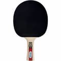 Miniatyrbillede 2 af 5: Ping Pong Ketcher Schildkröt