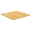 Miniatyrbillede 3 af 5: Bordplader - Living bordplade 70x70x1,5 cm bambus