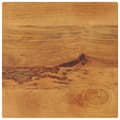 Pikkukuva 1 / 9: vidaXL Pöytälevy 60x60x3,8 cm neliö täysi mangopuu