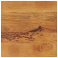 Miniatyrbilde 1 av 9: vidaXL Bordplate 60x60x2,5 cm firkantet heltre mango