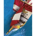 Miniatyrbillede 5 af 6: PLAYMOBIL 71418 Pirat-robåd, Pirater, Med figurer, kanoner, Fra 4 år