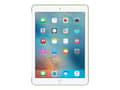 Pikkukuva 5 / 5: Apple MMG42ZM/A, Suojus, Apple, iPad Pro 9.7", 24,6 cm (9.7")