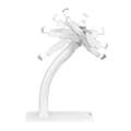 Miniatyrbillede 6 af 6: Maclean MC-468W Universal Tablet Stand Holder Låsbar 7,9" - 11" Bord- eller vægmontering Offentlig Display Kiosk Robust tyverisikring