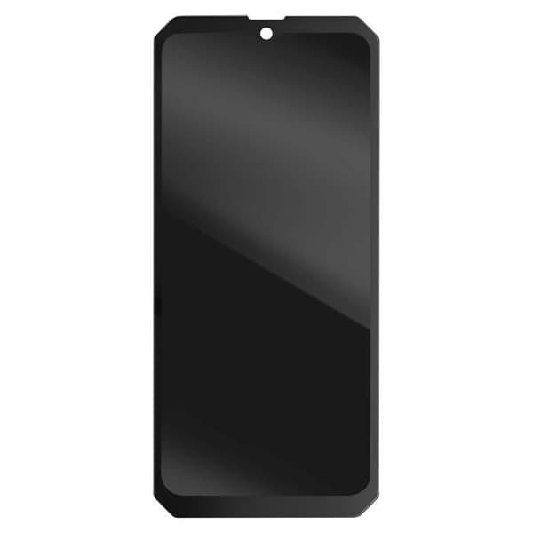 LCD-skärm och pekglas för Blackview BV8800 Svart