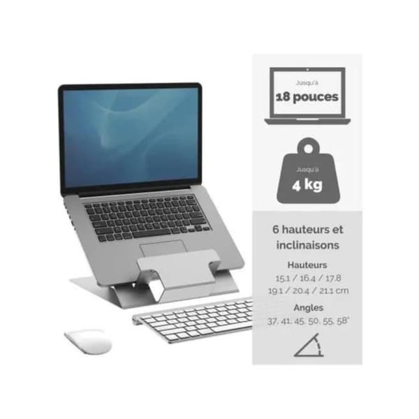 FELLOWES BÄRBARHÅLLARE HYLYFT Silver