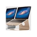 Miniatyrbild 3 av 4: Laptopställ - Rain Design - mStand 360 - Vridbar bas - Aluminium - MacBook-kompatibel
