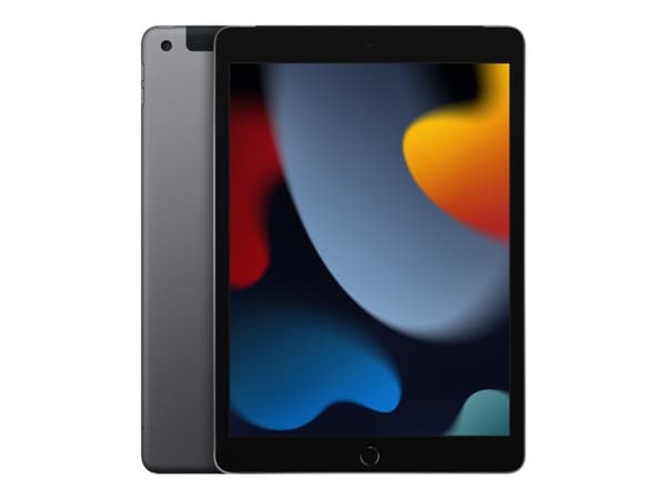 Apple 10.2-inch iPad Wi-Fi + Cellular - 9:e generation - surfplatta - 256 GB - 10.2" IPS (2160 x 1620) - 3G, 4G - LTE - rymdgrå