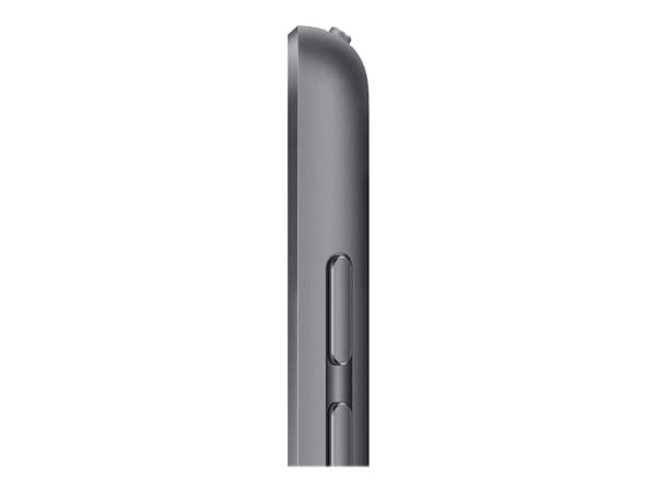 Apple 10.2-inch iPad Wi-Fi + Cellular - 9:e generation - surfplatta - 256 GB - 10.2" IPS (2160 x 1620) - 3G, 4G - LTE - rymdgrå Grå