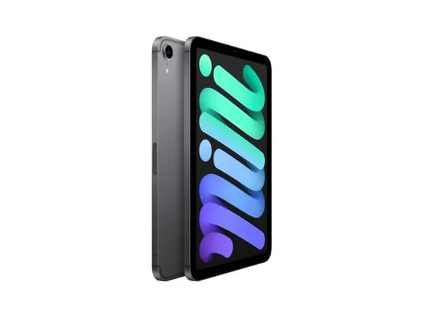 Apple iPad mini Wi-Fi + Cellular - 6:e generation - surfplatta - 64 GB - 8.3" IPS (2266 x 1488) - 3G, 4G, 5G - rymdgrå
