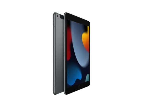 Apple 10.2-inch iPad Wi-Fi + Cellular - 9. generasjon - tablet - 64 GB - 10.2" IPS (2160 x 1620) - 3G, 4G - LTE - romgrå Grå