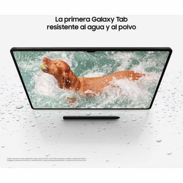Tablet Samsung Galaxy Tab S9+ 12,4" 256 GB Grå