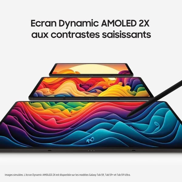Samsung Galaxy Tab S9 SM-X710N 128 GB 27,9 cm (11") Qualcomm Snapdragon 8 GB Wi-Fi 6 (802.11ax) Android 13 grafit