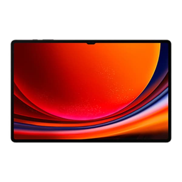 Tablet Samsung Galaxy Tab S9 Ultra 14,6" 12 GB RAM 256 GB Grå