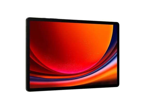 Samsung Galaxy Tab S9+ 12.4 12/256 Grafit