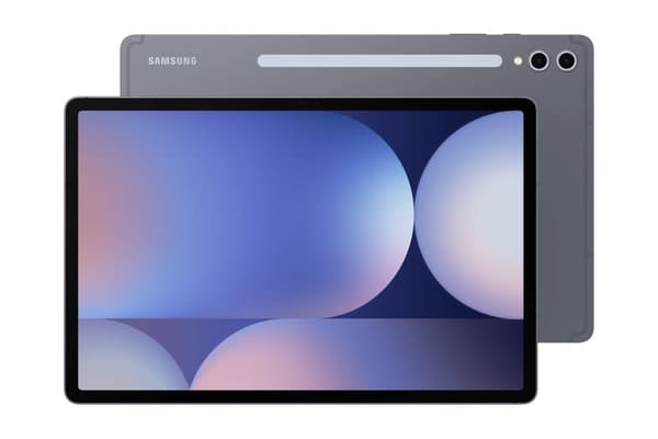 Samsung® | Galaxy Tab S10 + 5G (12G+512G) - Moonstone Gray