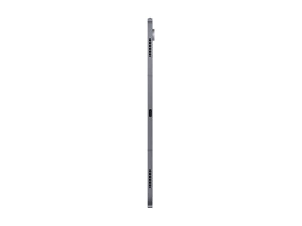 Samsung S10 Ultra, 37,1 cm (14,6"), 2960 x 1848 pikseliä, 256 Gt, 12 Gt, Android 14, harmaa