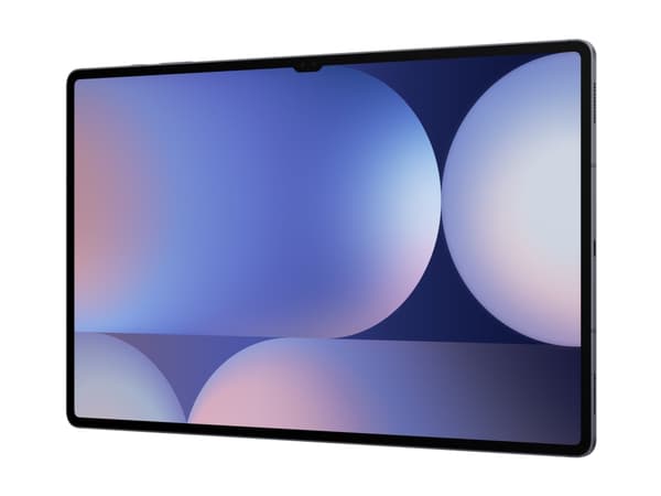 Samsung Galaxy Tab S10 Ultra - Surfplatta - Android 14 - 256 GB - 14.6" Dynamic AMOLED 2X (2960 x 1848) - microSD-kortplats - 3G, 4G, 5G - månstensgr Grå