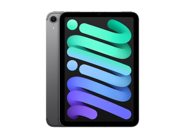 Apple iPad mini A17 Pro Wi-Fi + Cellular - Surfplatta - 512 GB - 8.3" IPS (2266 x 1488) - 3G, 4G, 5G - rymdgrå