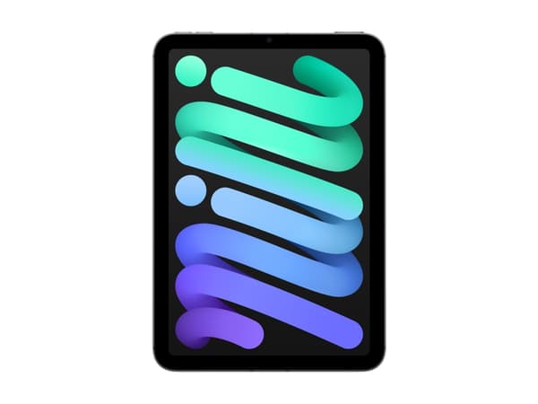 Apple iPad mini A17 Pro Wi-Fi + Cellular - Surfplatta - 512 GB - 8.3" IPS (2266 x 1488) - 3G, 4G, 5G - rymdgrå