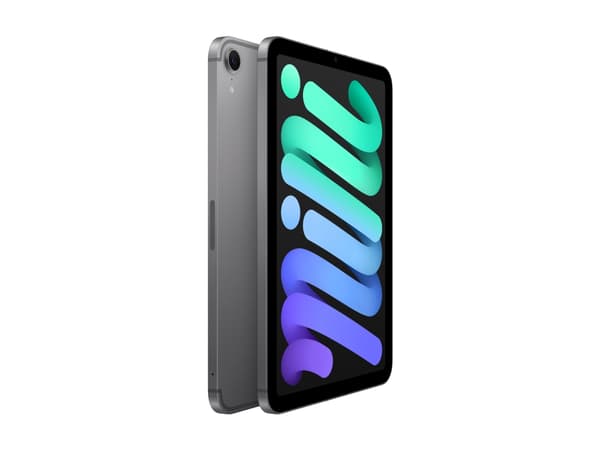 Apple iPad mini A17 Pro Wi-Fi + Cellular - Surfplatta - 512 GB - 8.3" IPS (2266 x 1488) - 3G, 4G, 5G - rymdgrå
