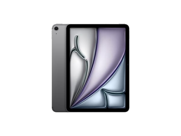 Apple 11-inch iPad Air M2 Wi-Fi + Cellular - Tablet - 1 TB - 11" IPS (2360 x 1640) - 3G, 4G, 5G - romgrå
