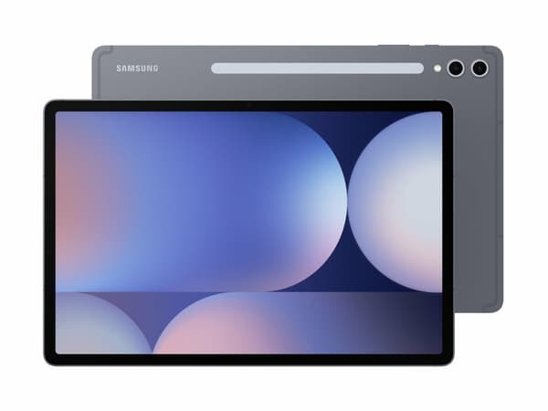 Samsung Galaxy Tab S10+ 12.4" 256GB 12GB Grå Grå