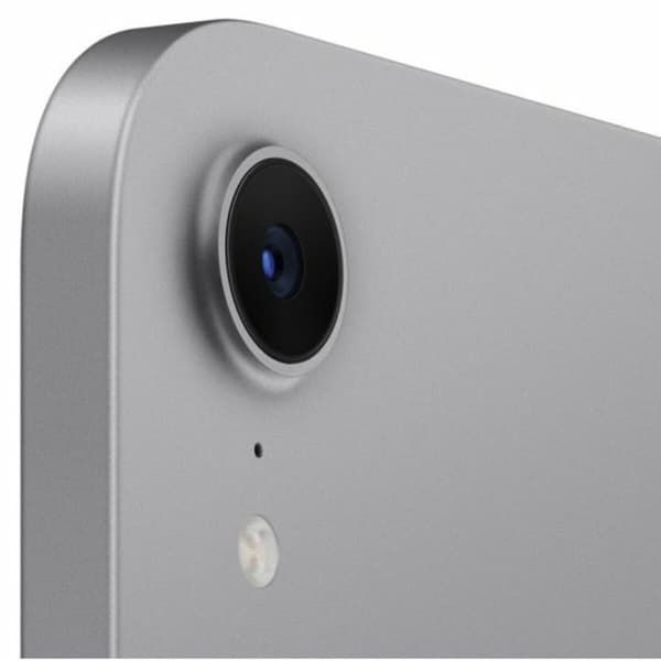 Läsplatta Apple MXN63TY/A Grå 128 GB