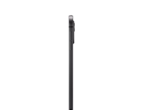 iPad Pro 11" Wi-Fi 256GB standard glass