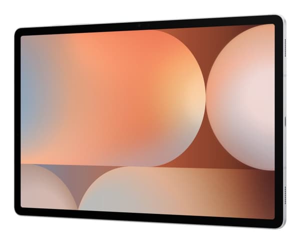 Samsung Galaxy Tab S10+ Wi-Fi 256 GB 31,5 cm (12,4") 12 GB Wi-Fi 6E (802.11ax) Platina, Silver