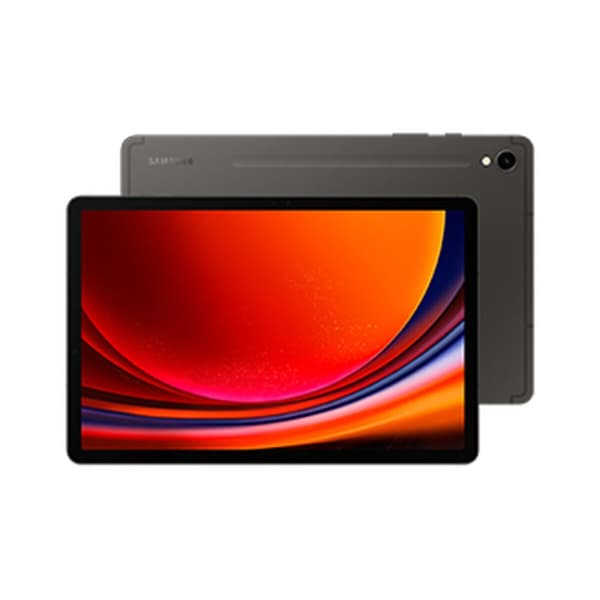 Nettbrett Samsung Galaxy Tab S9 12 GB RAM 11" 256 GB Grå Grafitt