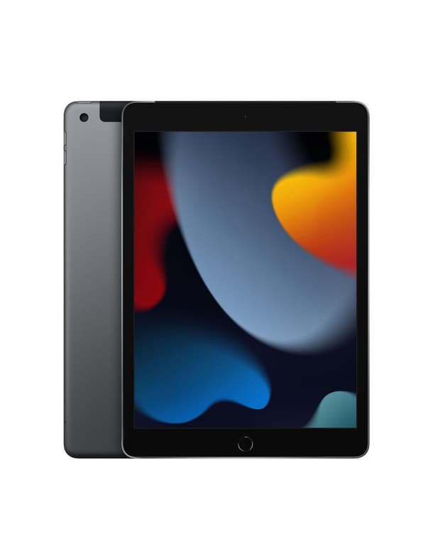 Apple iPad 9:e gen 64GB Wi-fi + Cellular 10.2-tum Rymdgrå Grå