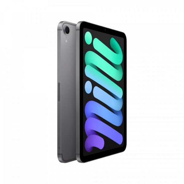 Apple iPad mini 128 GB WiFi + 5G 2024 -surfplatta, stjärngrå (MXPN3)