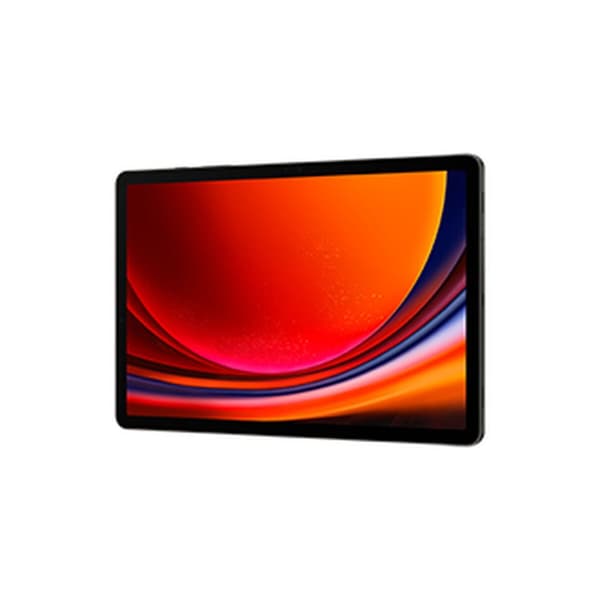 Läsplatta Samsung Galaxy Tab S9 12 GB RAM 11" 256 GB Grå