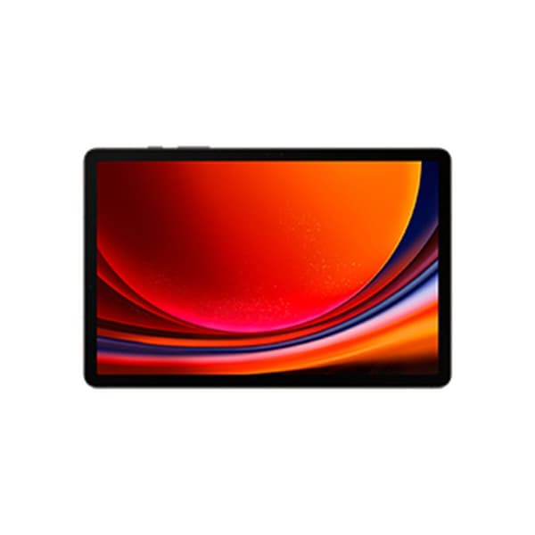 Läsplatta Samsung Galaxy Tab S9 12 GB RAM 11" 256 GB Grå