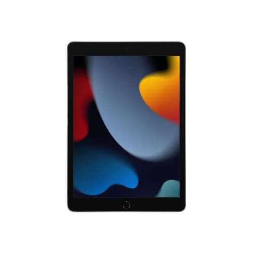 Apple 10.2-inch iPad Wi-Fi - 9:e generation - surfplatta - 256 GB - 10.2"